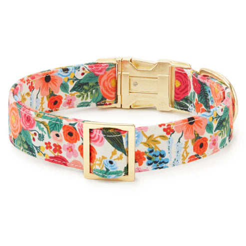 The Foggy Dog | Dog Collar | Garden Party