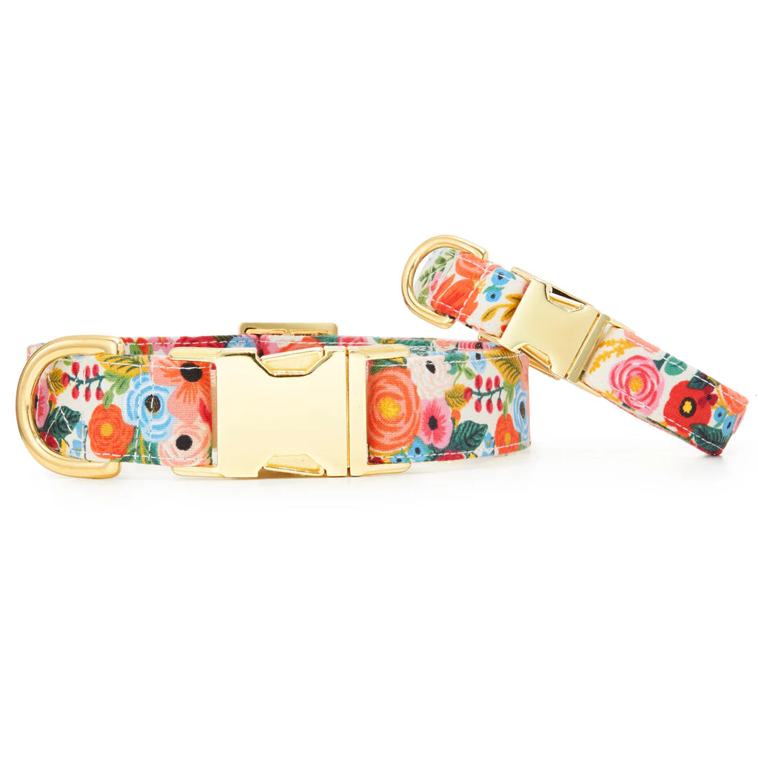 The Foggy Dog | Dog Collar | Garden Party