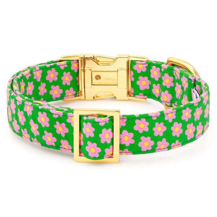 The Foggy Dog | Dog Collar | Flower Power