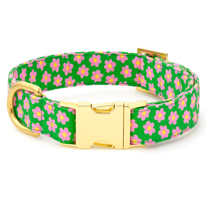 The Foggy Dog | Dog Collar | Flower Power