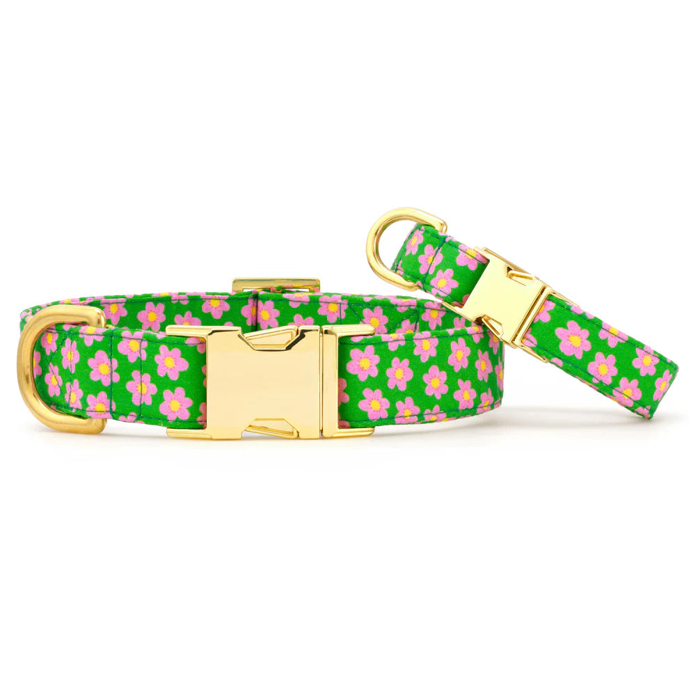 The Foggy Dog | Dog Collar | Flower Power