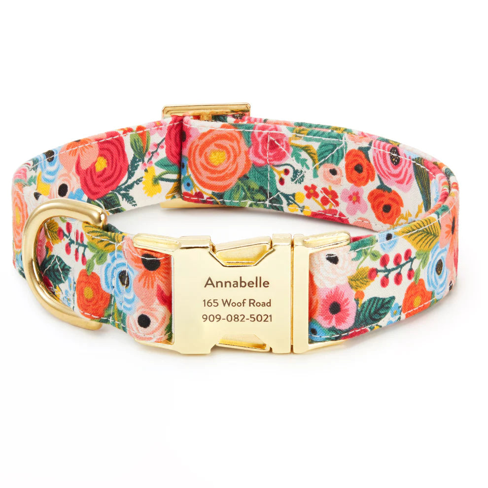 The Foggy Dog | Dog Collar | Garden Party