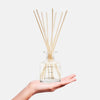 Lake and Skye | 11 11 Reed Diffuser