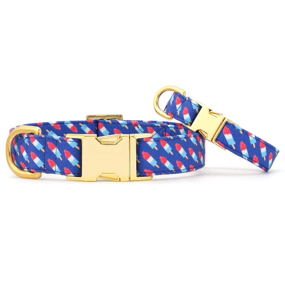 The Foggy Dog | Dog Collar | Rocket Pop