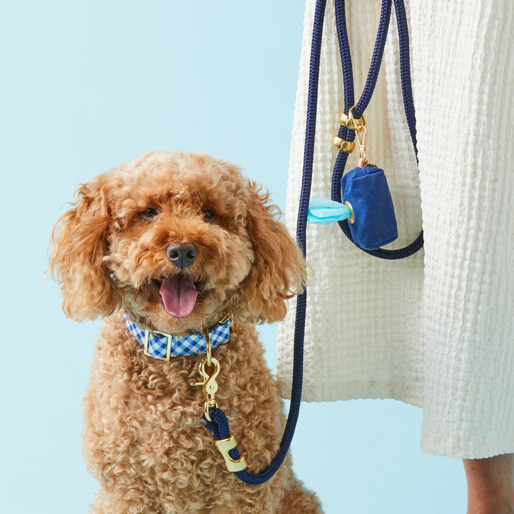 The Foggy Dog | Dog Leash | Marine Rope