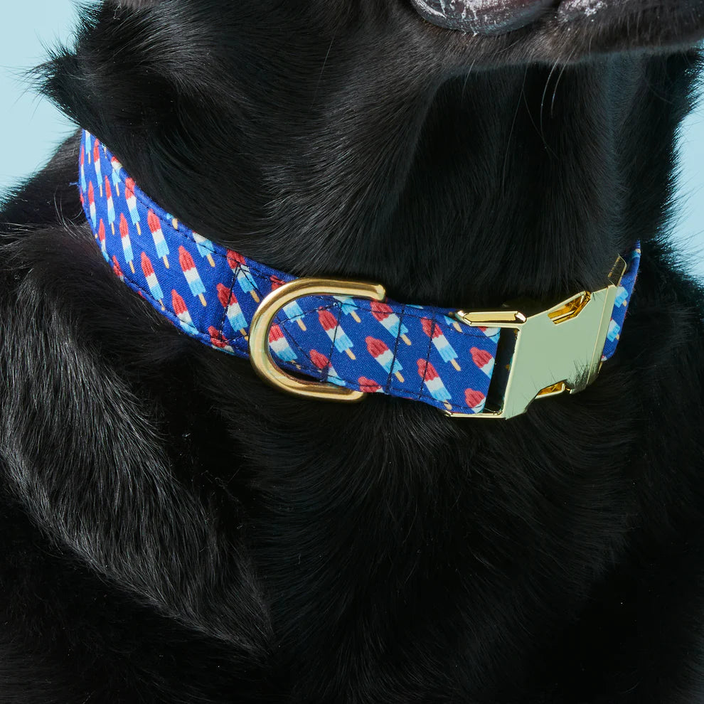 The Foggy Dog | Dog Collar | Rocket Pop