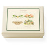 Flourish Notecards Boxed Set