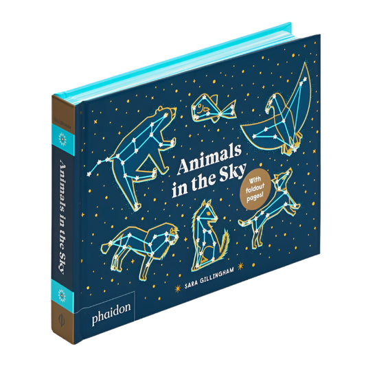 animals in the sky, animals, children's book, phaidon, publisher, constellations, space, stars, sky, astronomy